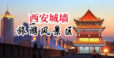 抠肉丝女教师逼中国陕西-西安城墙旅游风景区
